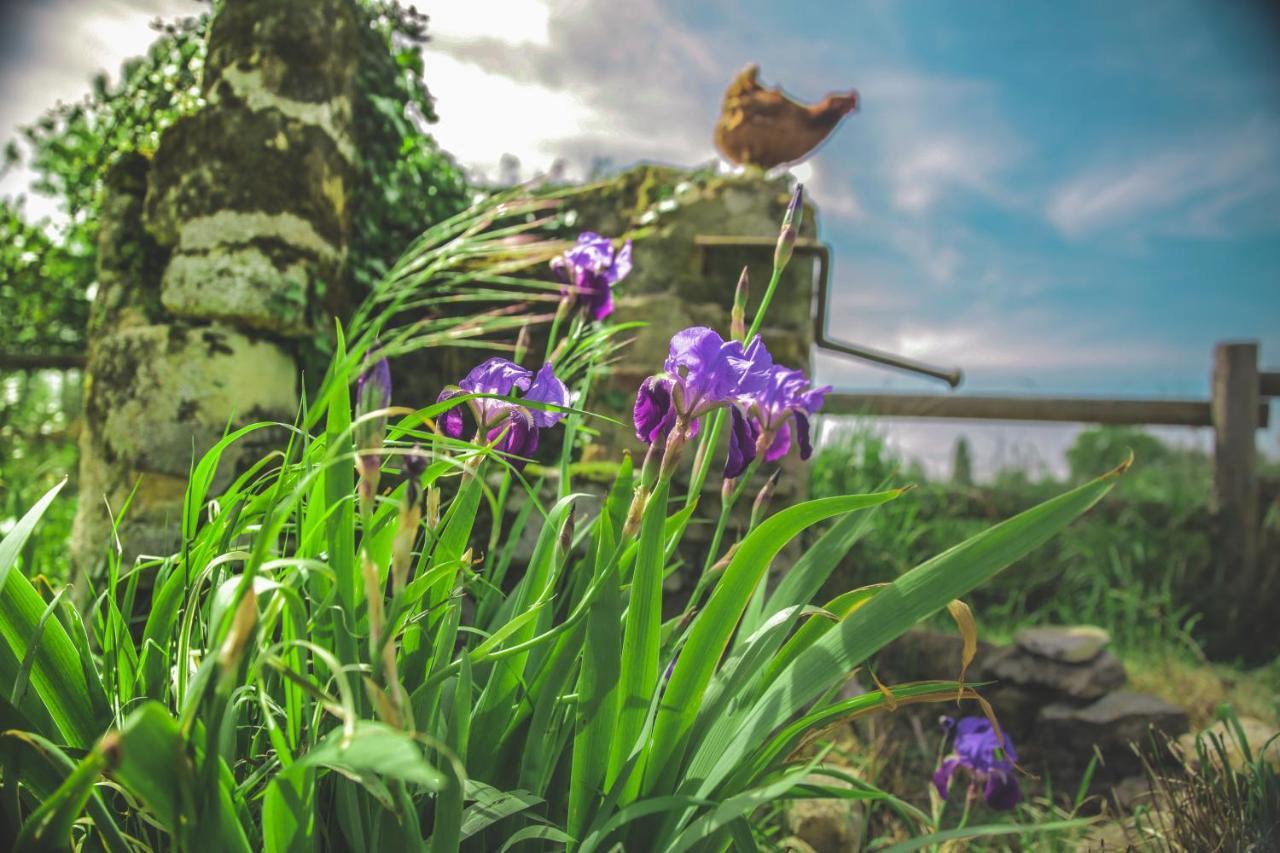 Bed & Breakfast Le Petit Nancay Thénioux