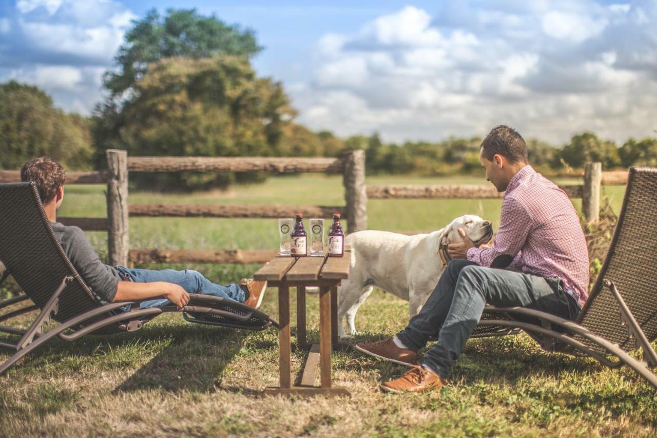 Le Petit Nancay Bed & Breakfast Thénioux